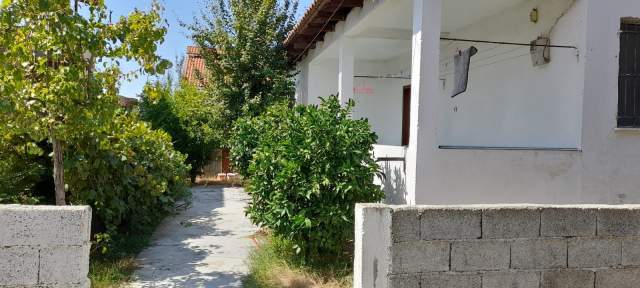 SHITET SHTEPI PRIVATE NE KAMEZ 100 m² 70.000 €