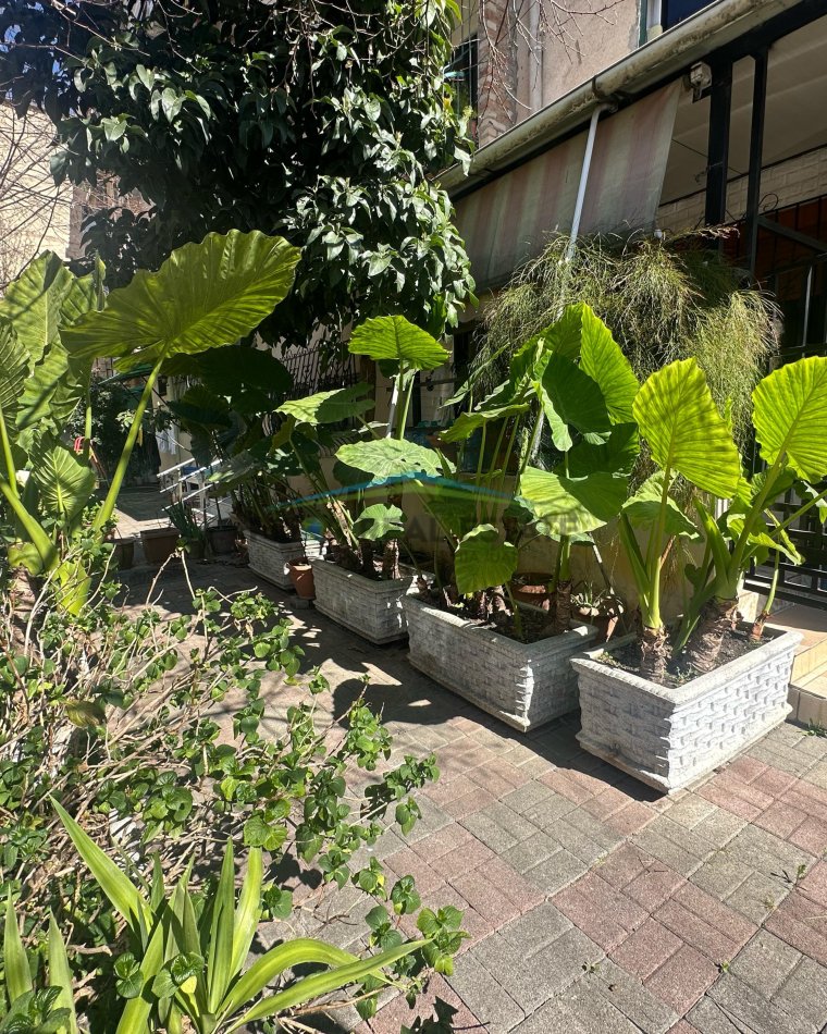 Tirane, shitet apartament 2+1 Kati 0, 135 m² 250.000 € (21 Dhjetori)