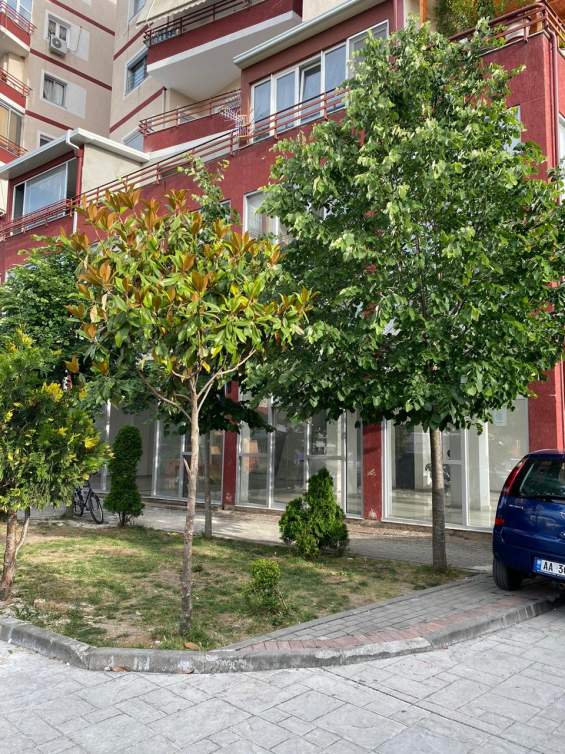 Tirane, shes ambjent biznesi Kati 1, 92 m² 110.000 Euro (Rruga Demokracia)
