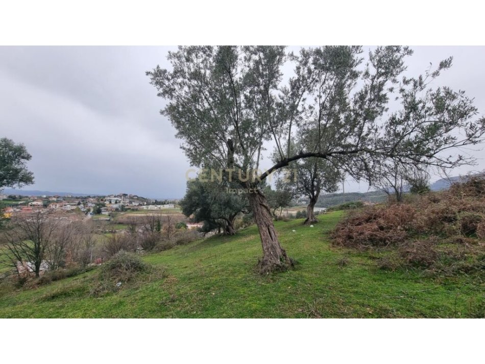 Tirane, shitet toke , 3.800 m² 589.000 € (FARKE E MADHE)