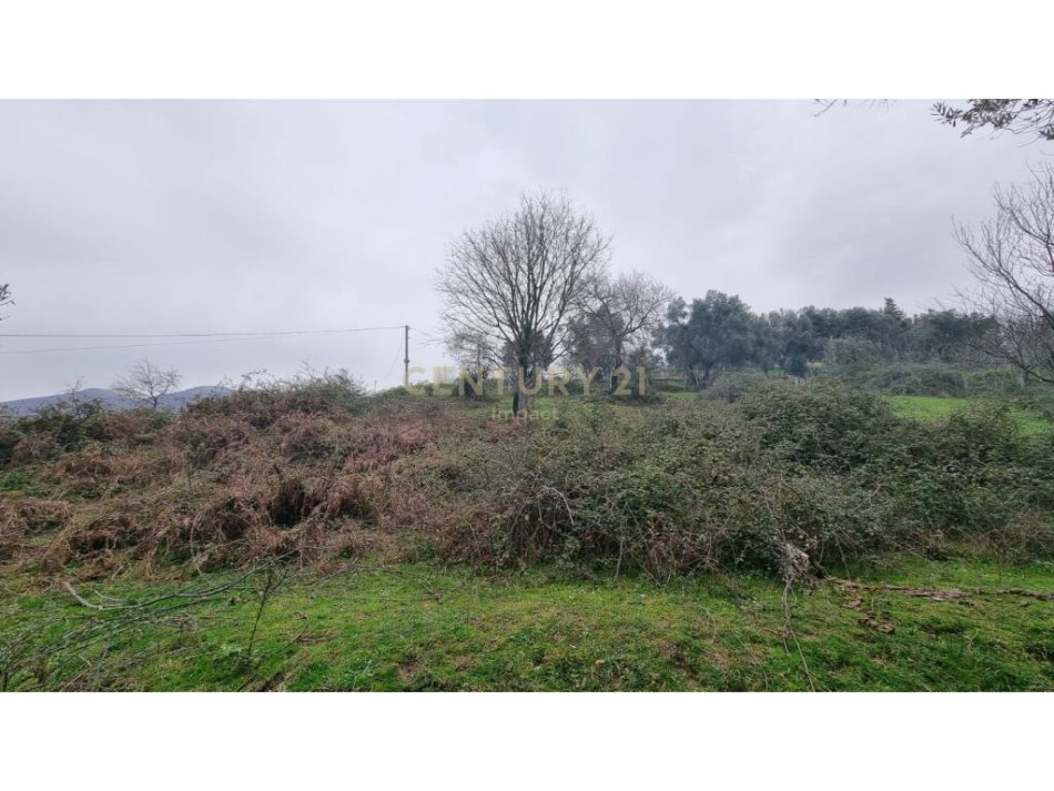 Tirane, shitet toke , 3.800 m² 589.000 € (FARKE E MADHE)