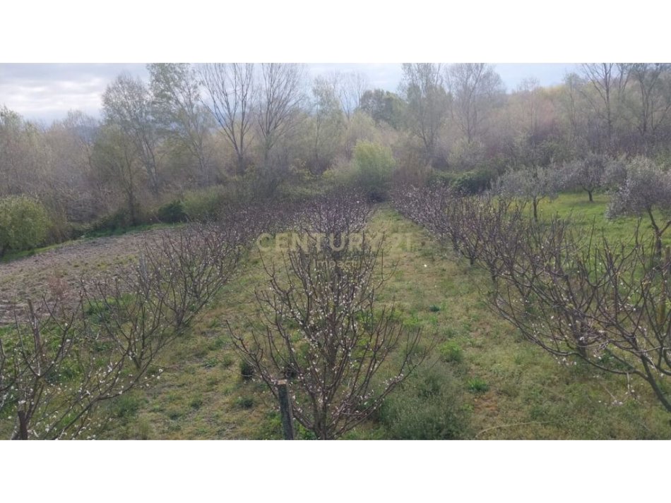 Durres, shitet shtepi 3+1 Kati 1, 129 m² 74.000 € (4 Rruget Shijak)