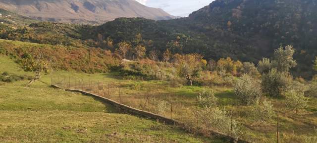 Tirane, shes toke 2.000 m² 40 Euro/m2 (Rruga e Rexhekrit, Surrel, Tirane)