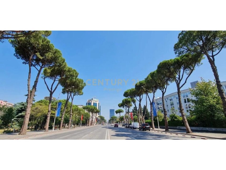 Tirane, jepet me qera zyre Kati 2, 248 m² 4.720 € (Bulevardi Deshmoret e Kombit)