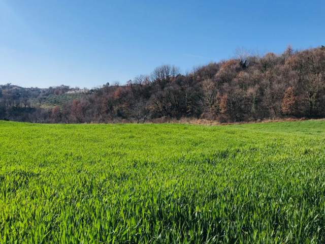Tirane, shes truall 6.000 m² 300.000 Euro (NË DAIAS, NË PERIFERI TË TIRANES)