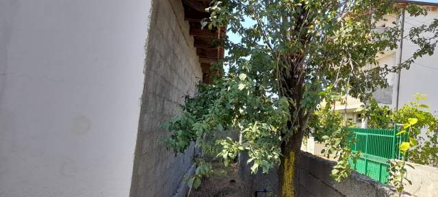 SHITET SHTEPI PRIVATE NE KAMEZ 100 m² 70.000 €