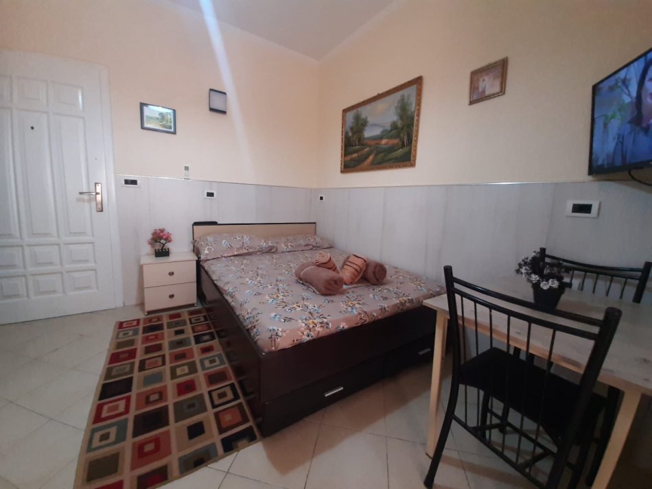Tirane, jepet me qera apartament 1+1 Kati 2, 45 m² 360 € (Stacioni i trenit)
