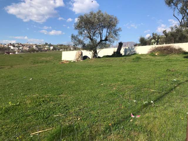 Tirane, shes toke 4.000 m² 479.000 Euro (Rruga Azem Hajdari Babrru Tirane)