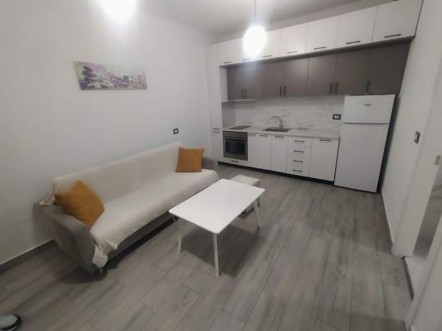 Tirane, jepet me qera apartament Kati 2, 55 m² 450 Euro (Vasil shanto)