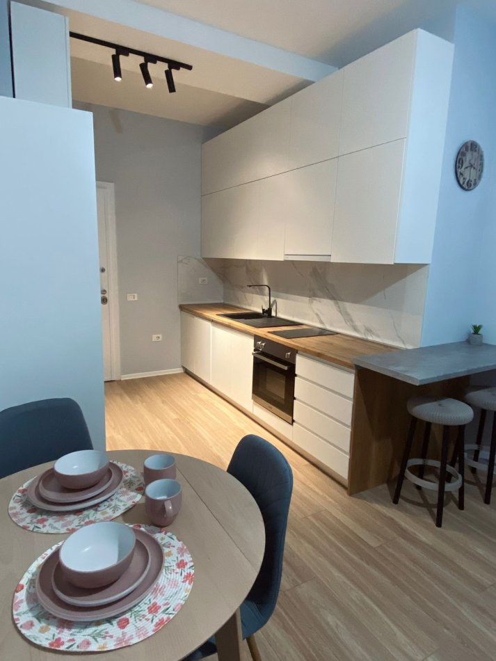 Tirane, jepet me qera apartament 1+1 Kati 2, 65 m² 550 € (21 dhjetori)