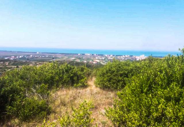 Durres, shes toke 6.200 m² 70.000 Euro