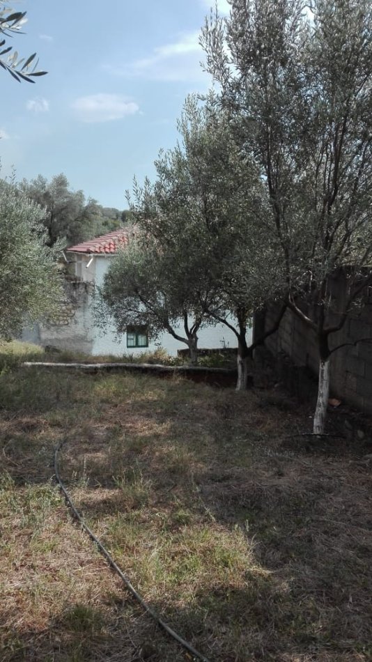 Tirane, shitet shtepi 2 Katshe Kati 2, 232 m² 83.000 € (ne Shtish - Tufine Tirane.)