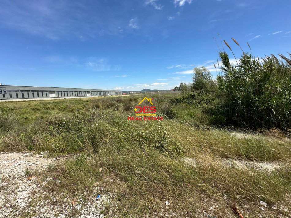 Vlore, shitet toke , 10.000 m² 250.000 € (Novosel)