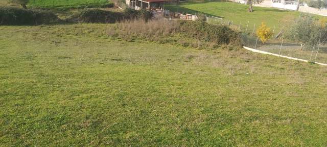 Tirane, shes toke 2.000 m² 70 Euro/m2 (Rruga e Vrapeve, Farke, Tirane)