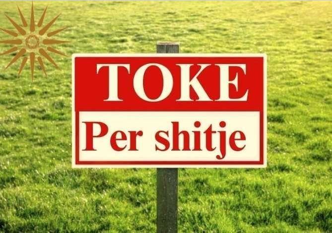 Tirane, shitet toke , 3.660 m² 366.000 € (Autostrada Tirane Durres)
