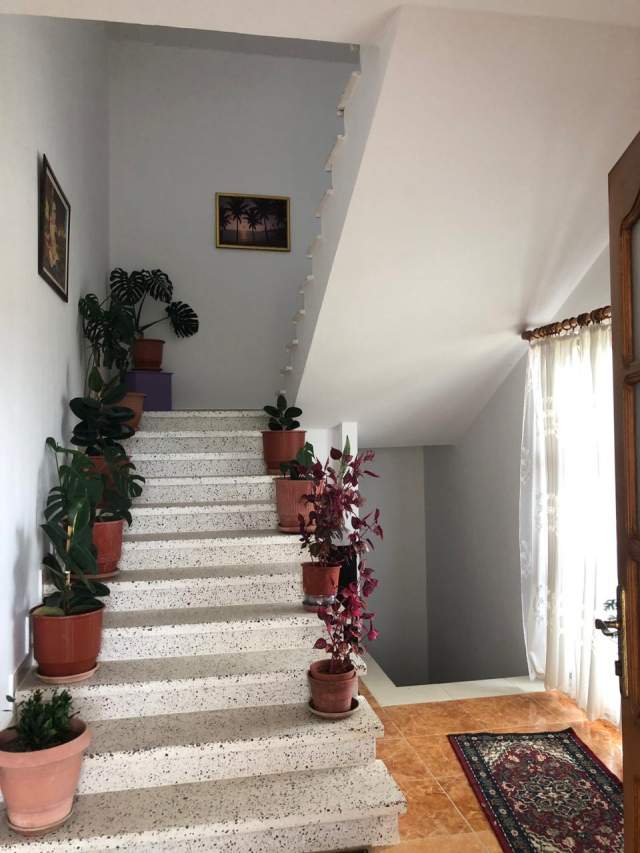 Tirane, shitet Vile 3+1+A+BLK Kati 2, 400.000 Euro (Rruga e Ullishtes)