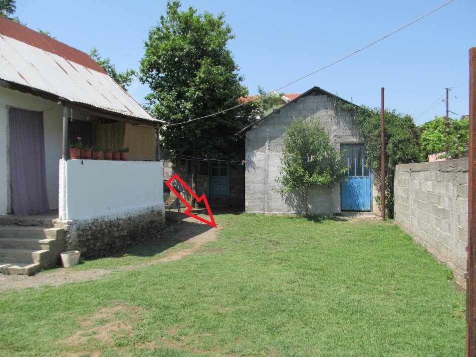 Lezhe, shitet Truall 200 m² , 525.280 Leke (Gryke Lumi)