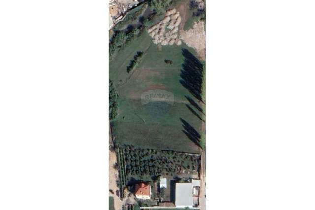 Tirane, jepet me qera toke 3.000 m² 1 Euro/m2 (Mezez)