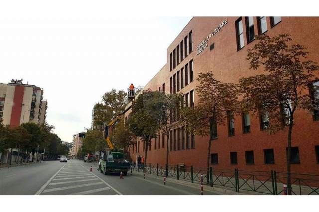 Tirane, shes ambjent biznesi Kati 0, 205 m² 670.000 Euro (Rruga e Elbasanit)