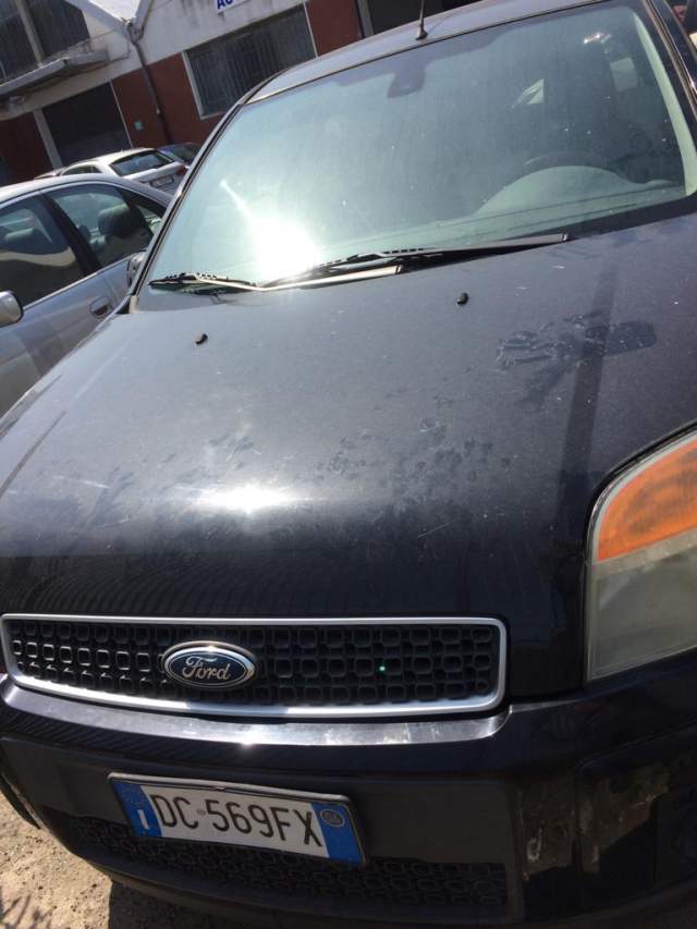 1000 EURO / FORD FUSION Viti 2006, EURO 1000, Kambio automatike