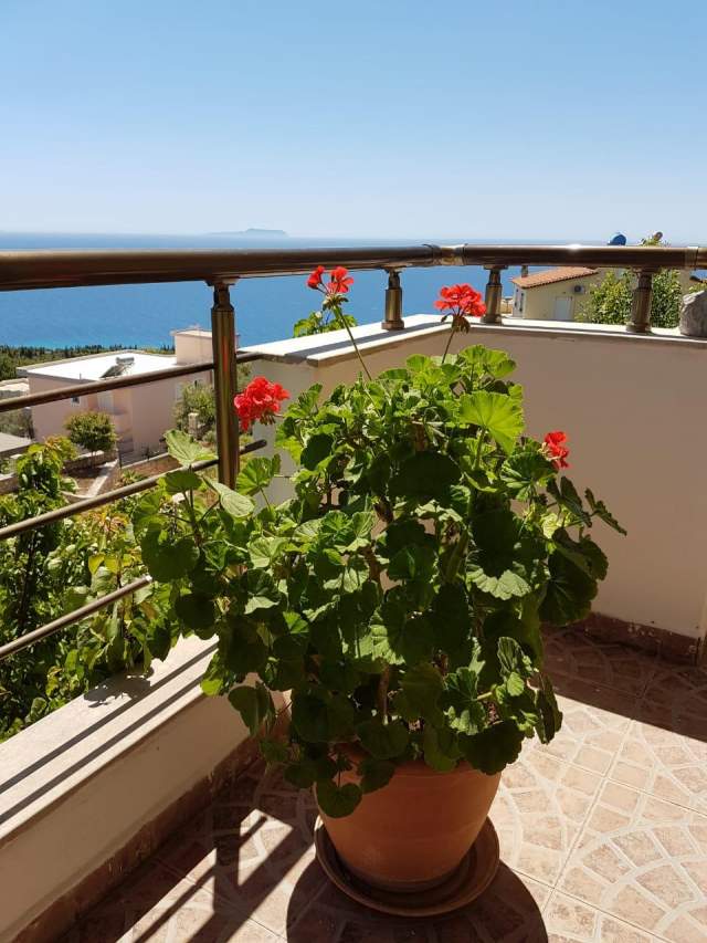 Dhermi, shitet Vile 3+1+A+BLK Kati 2, 111 m² 375.000 Euro (Dhermi)