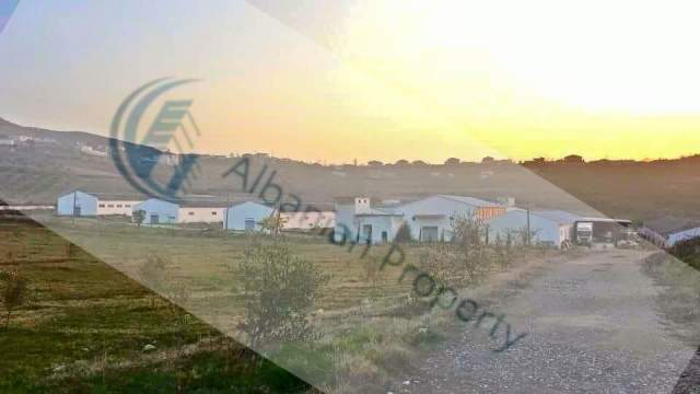 Elbasan, Shitet tokë me sipërfaqe 54000 m² në të cilën 9800 m² e zë vetëm ndërtesa 2.000.000 Euro (pranë autostadës)