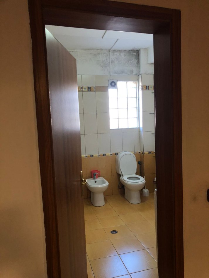 Jepet Shtepi  me qera,    ne Pallat i Ri 2+1  ID   11749