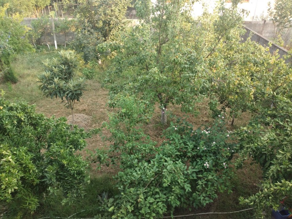 Tirane, shitet shtepi 2+1+Aneks+Ballkon Kati 2, 230 m² 170.000 € (Kamez)