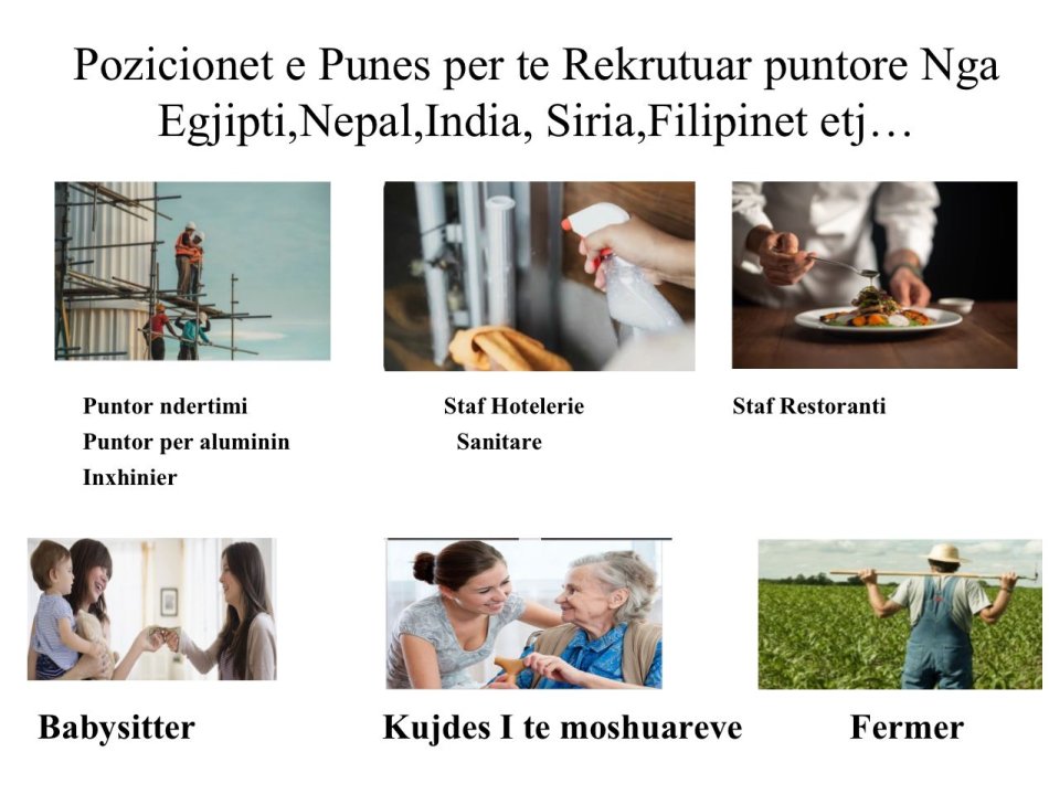 Tirane, Për të gjitha bizneset që kërkojnë punëtorë të kualifikuar nga jashtë, ne ofrojmë shërbime rekrutimi profesionale për të përmbushur nevojat tuaja.