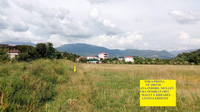 Shitet Toke, 3'250m², 90 euro/m², diskutueshëm, Mullet, rruga e vjetër Tiranë-Elbasan, km 10-të, buzë lumit Erzen