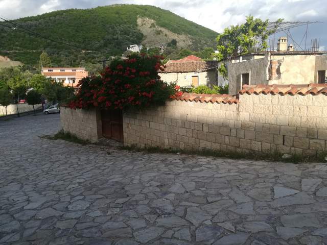 Tirane, shes shtepi 2+1+A+BLK Kati 0, 110 m²+750m2 truall 250.000 Euro (Petrele)