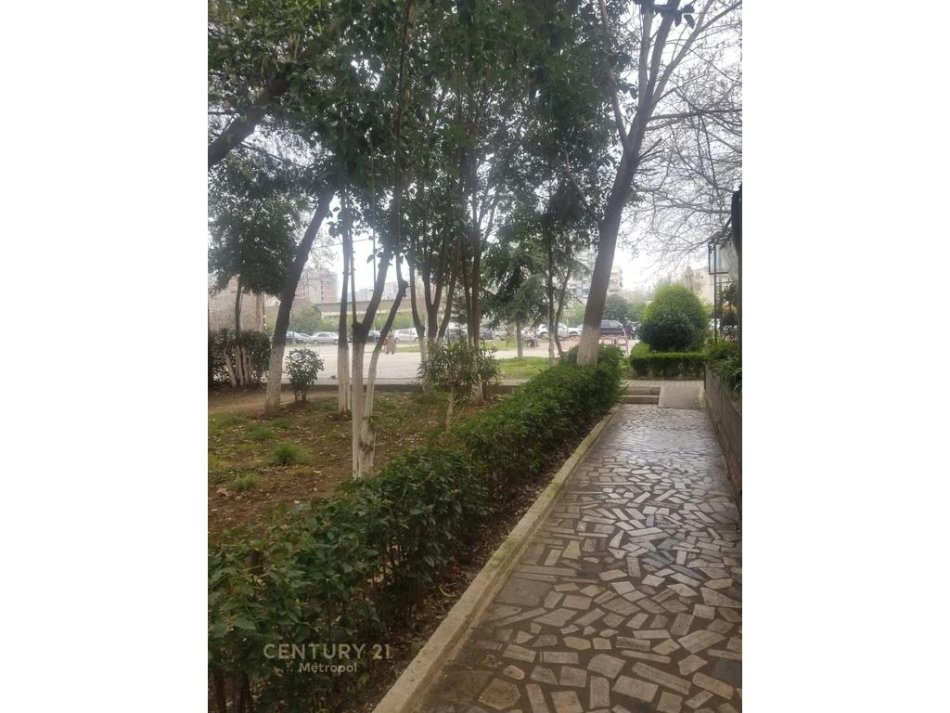 Tirane, jepet me qera Kati 0, 35 m² 70.000 € (Fusha Aviacionit)