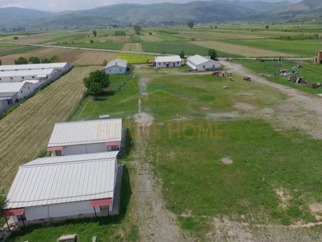 Korce, shitet ambjent biznesi 25.000 m² 1.300.000 Euro (Goskovë E Poshtme, Korcë.)
