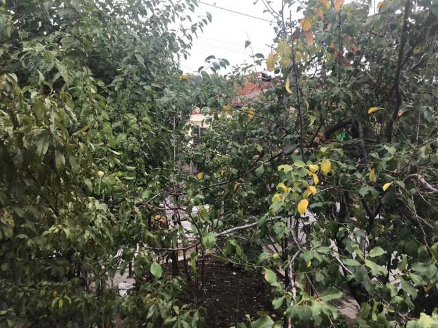 Tirane, shes shtepi 2+1+A+BLK Kati 0, 118 m² 105.000 Euro (qender Babrru Tirane)