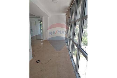 Tirane, jepet me qera zyre Kati 1, 77 m² 700 Euro