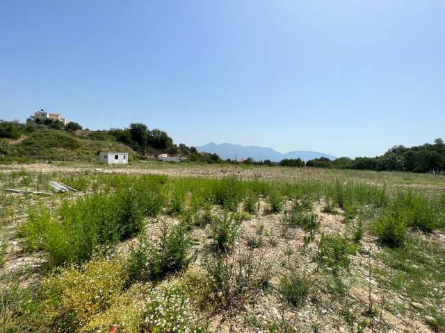Tirane, shes truall 850.000 Euro (mezez)