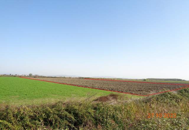 Shitet Are, 6593 m2, 1,700,000 Leke (Gorre, Lushnje)