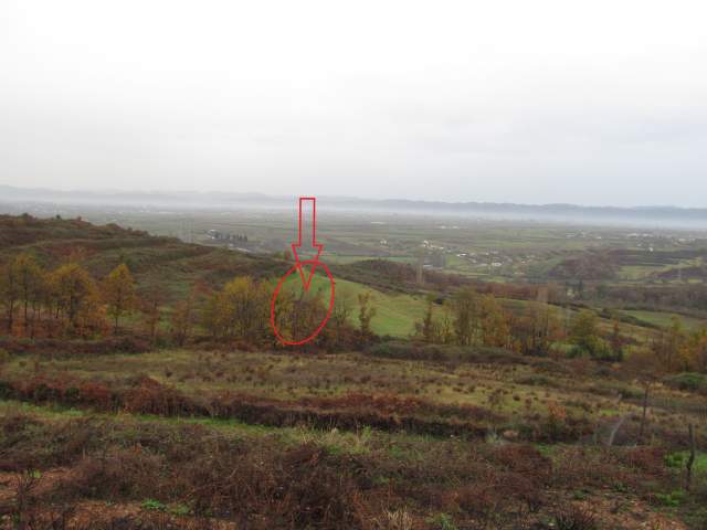 Kruje, shitet Toke Are 5.000 m² 3.096.000 Leke (Koder-Thumane)