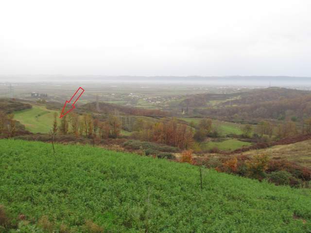 Kruje, shitet Toke Are 5.000 m² 3.096.000 Leke (Koder-Thumane)