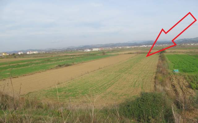 Kavaje, Luz i Vogel Shitet Toke Are 10.246 m², 4.590.208 Leke