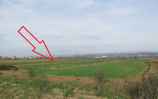 Kavaje, Luz i Vogel Shitet Toke Are 10.246 m², 4.590.208 Leke
