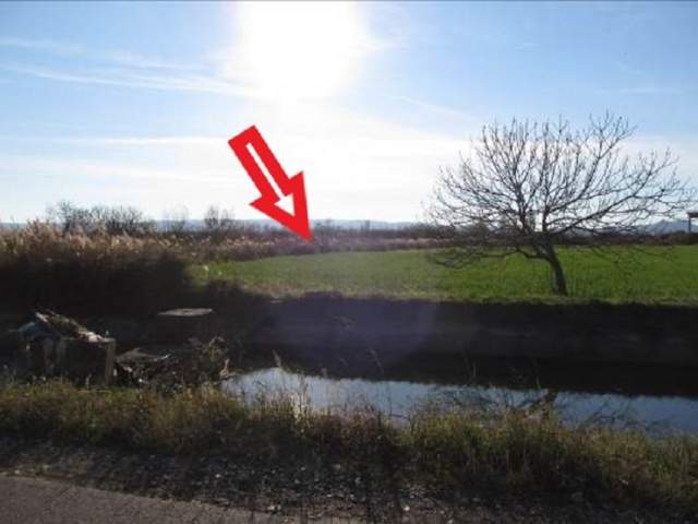Shkoder, Mjede Shitet Toke Are 2.000 m², 1.028.000 Leke