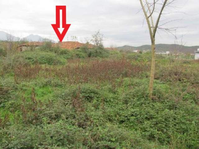 Kruje, shitet (Toke Are) 4,737,600 Leke dhe (Ullishte + Truall + Ndertese) 1,641,600 Leke    (Verjon)
