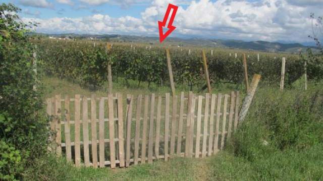 Durres, Vadardhe Shitet Toke Are 3.996 m², 5.312.000 Leke