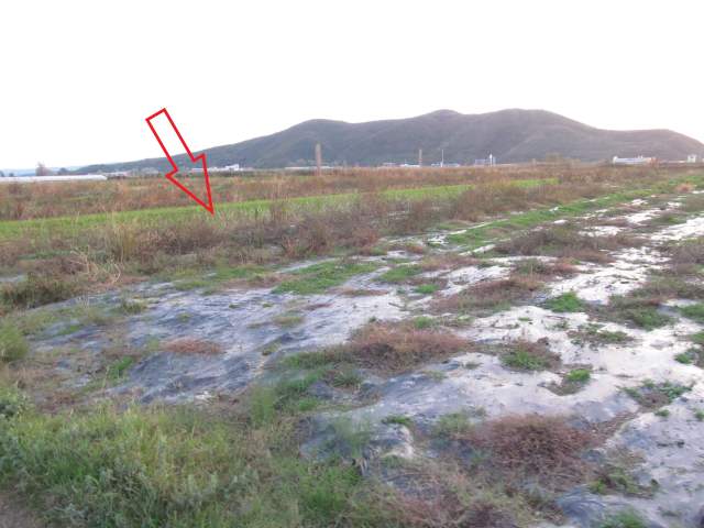 Shkoder, Komac Shitet Toke Are 4.796 m², 2.048.000 Leke