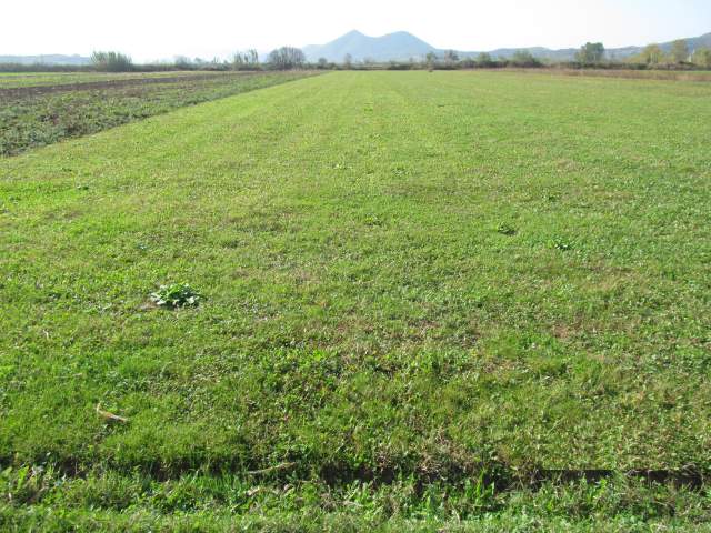 Shkoder, Stajke Shitet Toke Are 4.020 m² 1.440.640 Leke