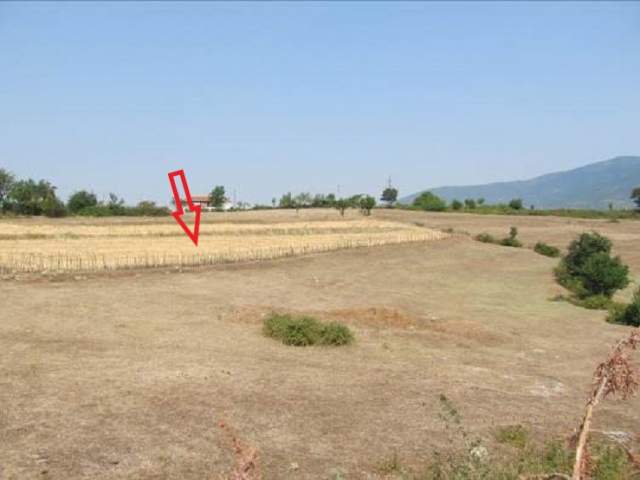 Kukes, Myc-Manez Shitet Truall 300 m² dhe Ndertese 66 m², 112.000 Leke