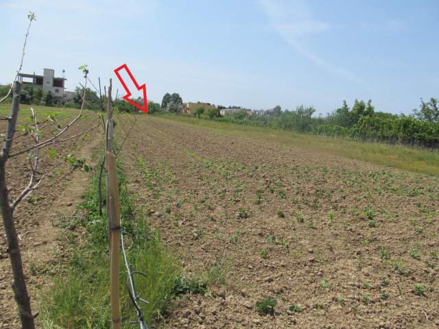 Lezhe, shitet Toke Are 1.750 m² , 1.120.000 Leke (Gryke Lumi)