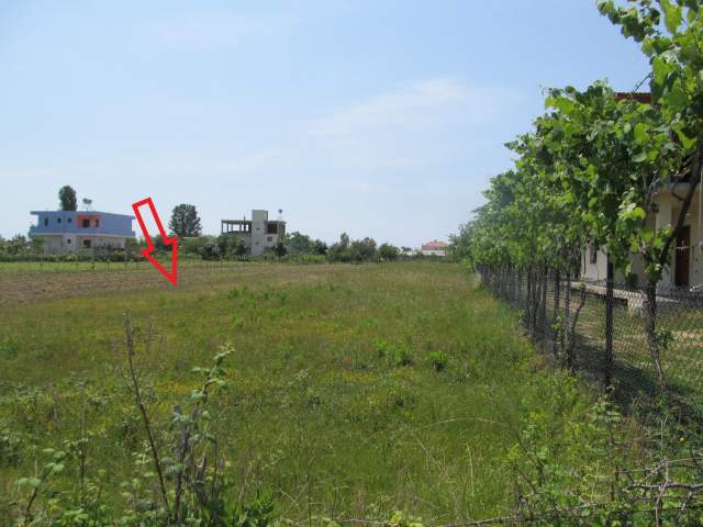 Lezhe, shitet Toke Are 1.750 m² , 1.120.000 Leke (Gryke Lumi)