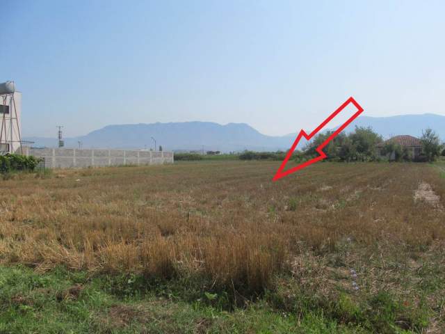 Fushe Kruje, shitet Tokë Arë 3.800 m² 4.596.480 Leke